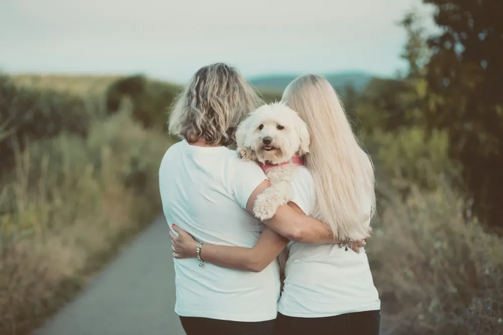 Fluffy white dog resting on its owners’ shoulders on a countryside walk