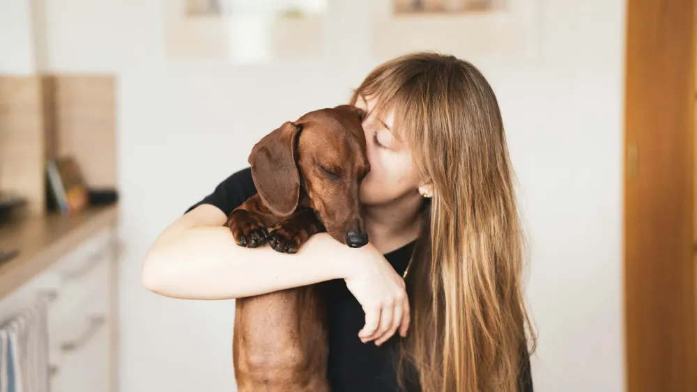 Pet owner hugging her dachshund